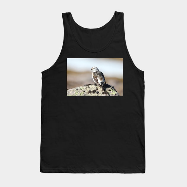 Snow bunting Tank Top by orcadia